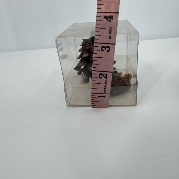 Natural mixed media woodsy pine cones folk art MINIATURE  Signed & Numbered - Picture 7 of 11